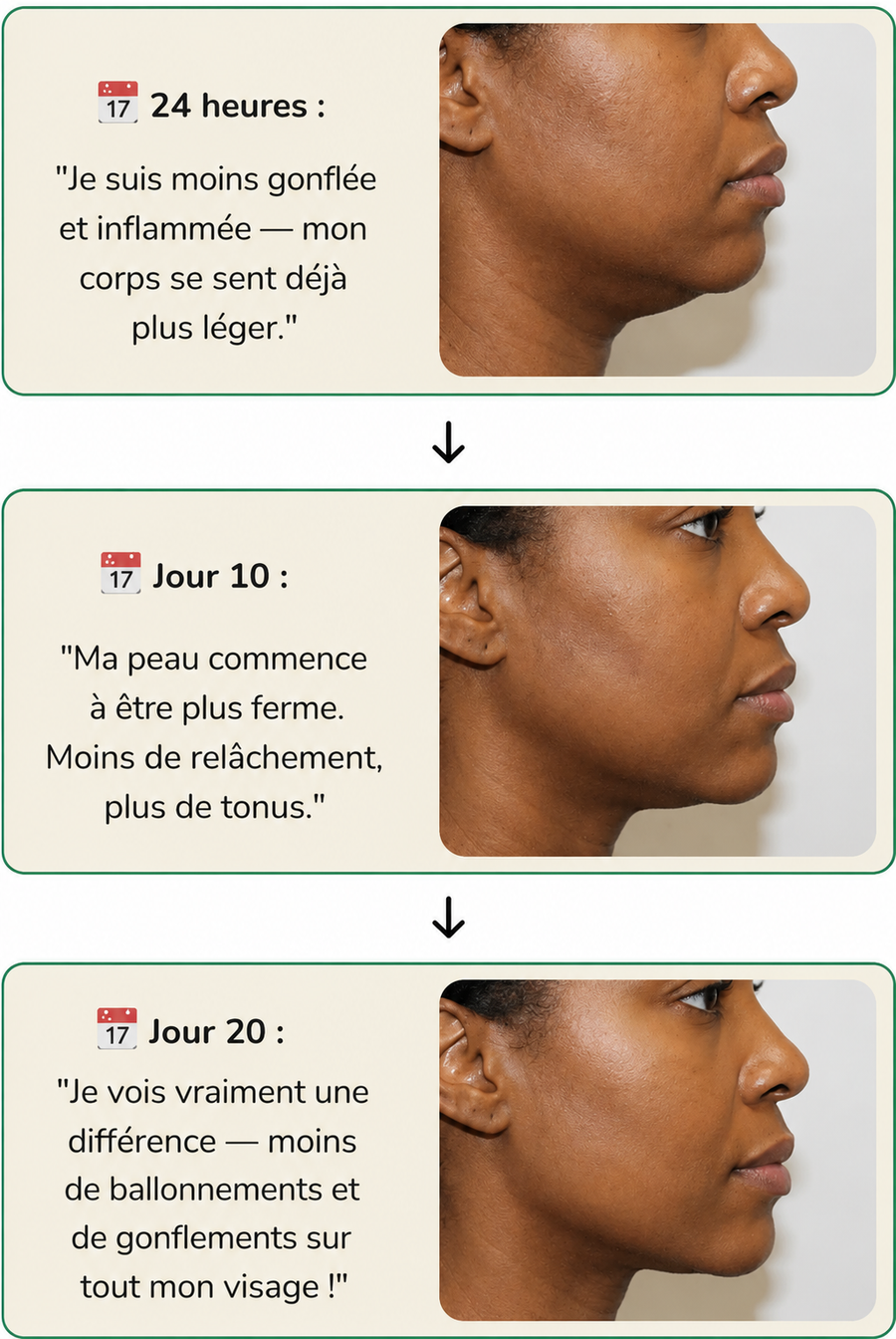 Résultats Rénalys™ au fil des jours